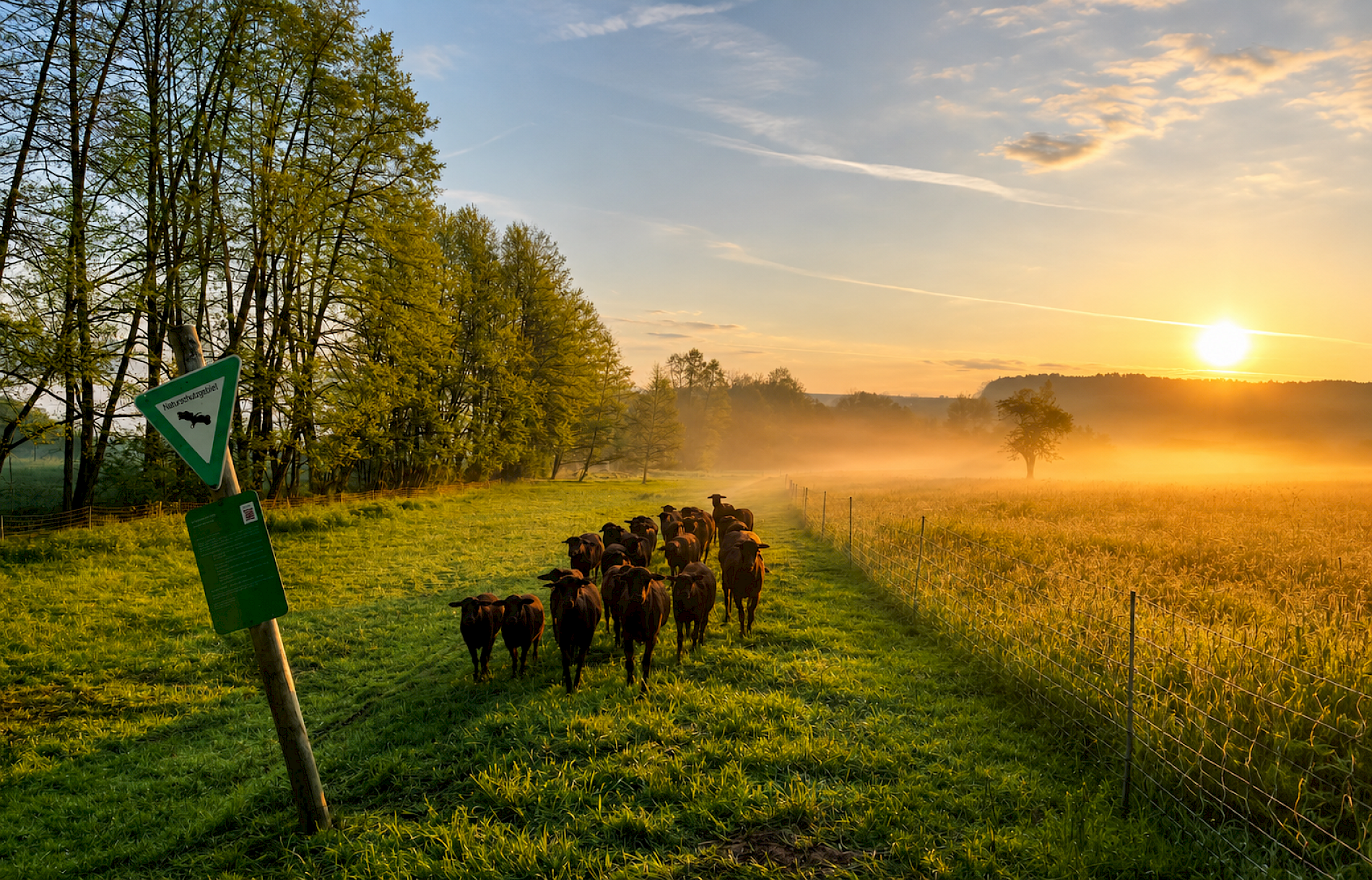 Herzlich Willkommen<br>beim Schäferverein Odenwaldkreis
