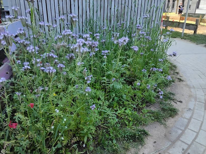 Kindertagesstätte Kunterbunt