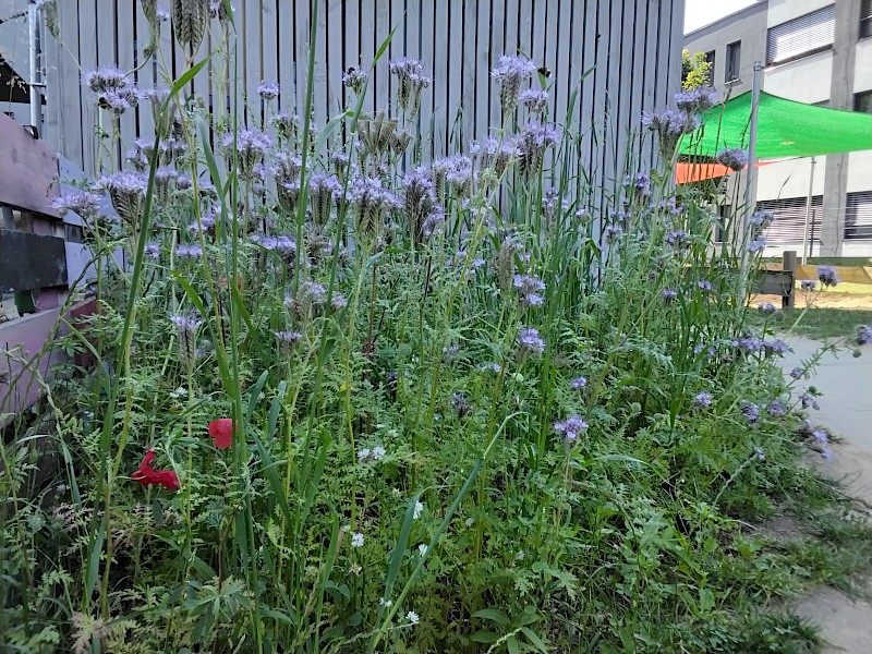 Kindertagesstätte Kunterbunt
