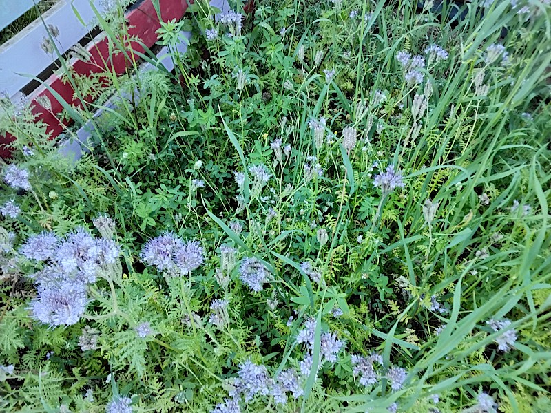 Kindertagesstätte Kunterbunt