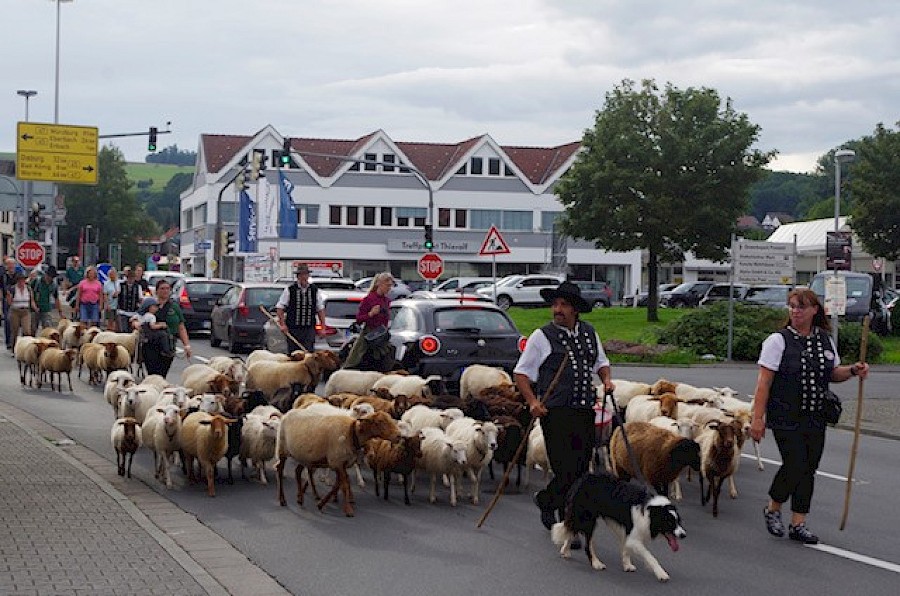 28. Odenwälder Schäfertag