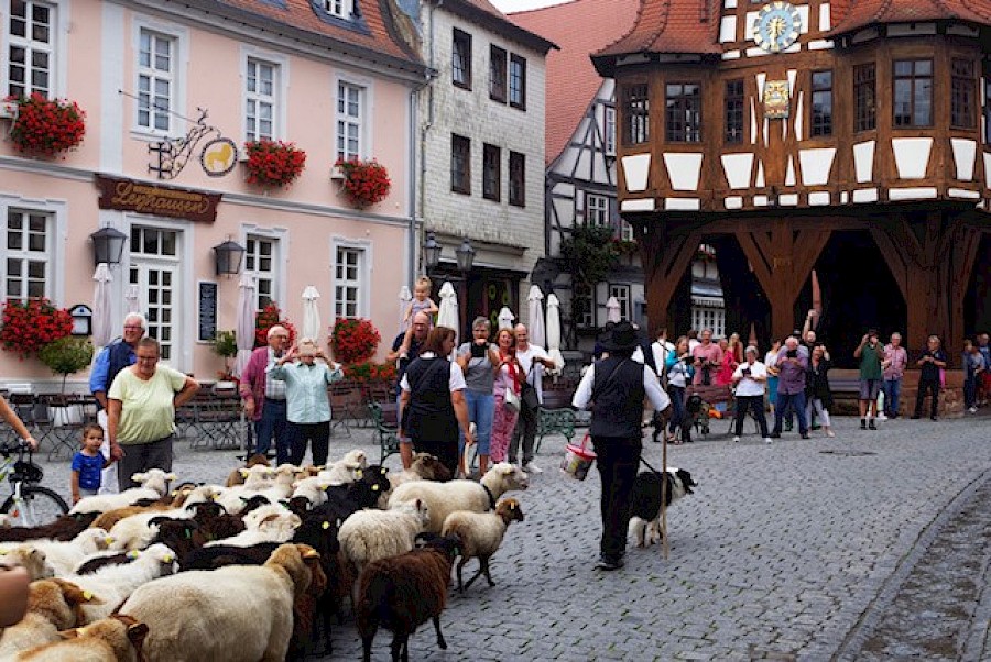 28. Odenwälder Schäfertag