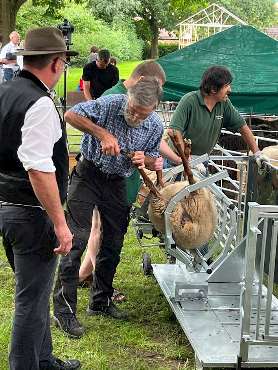 28. Odenwälder Schäfertag