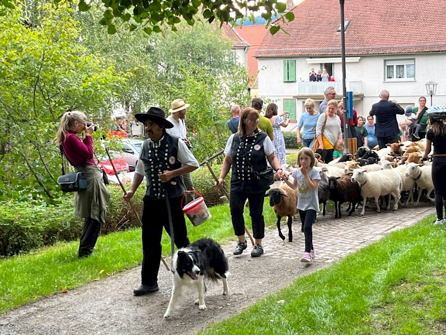 28. Odenwälder Schäfertag
