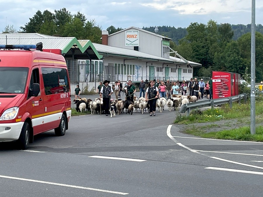28. Odenwälder Schäfertag