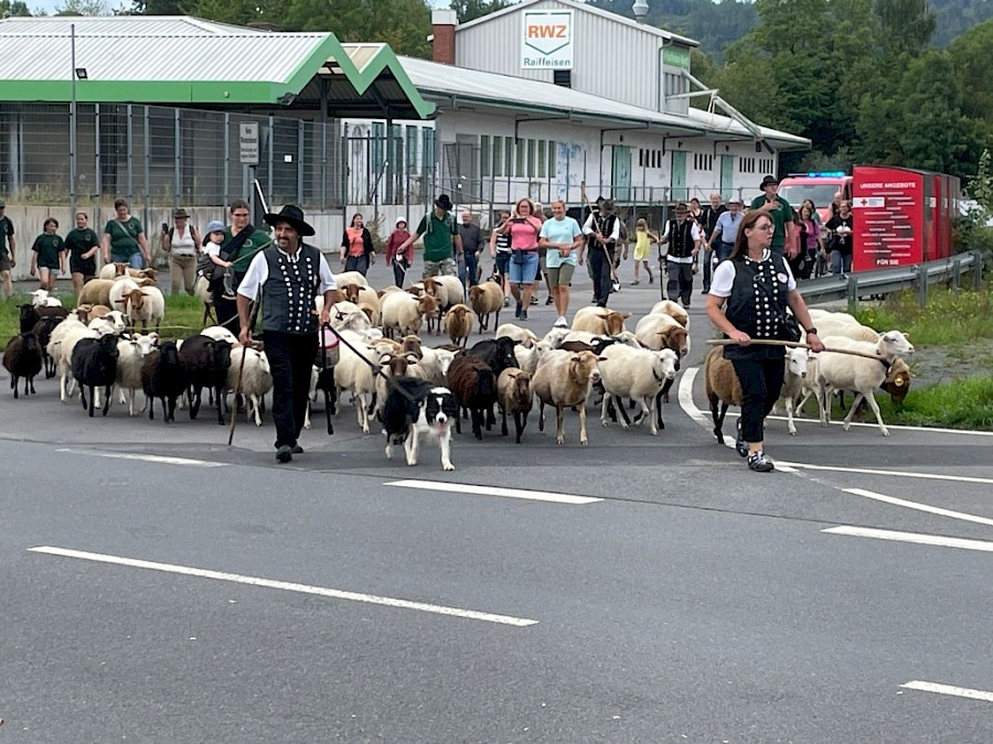 28. Odenwälder Schäfertag