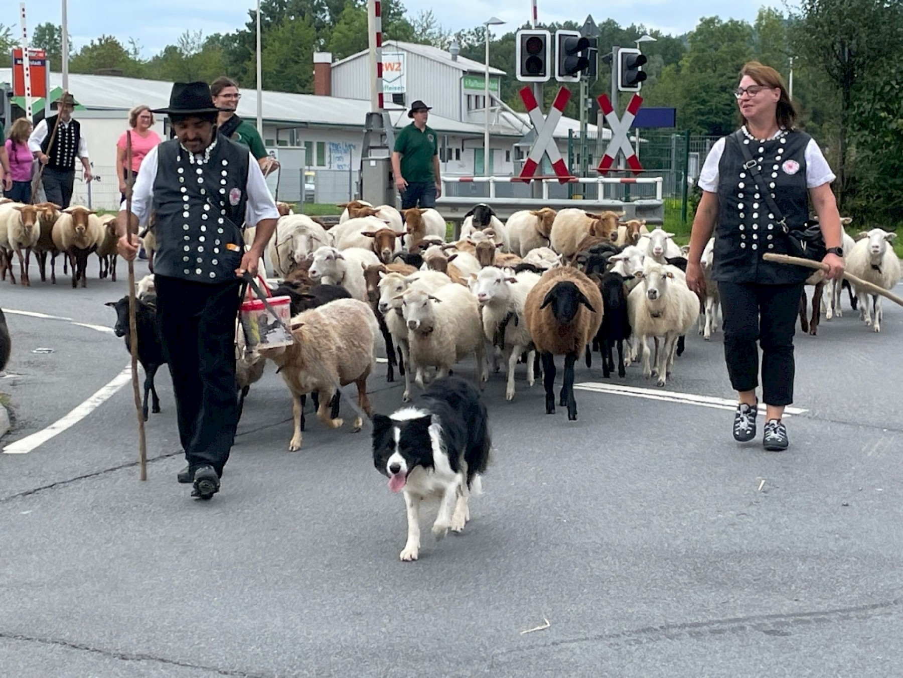 28. Odenwälder Schäfertag