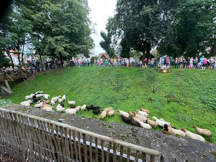 28. Odenwälder Schäfertag