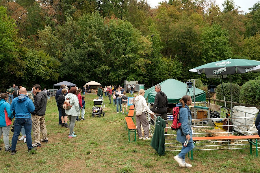 31. Odenwälder Schäfertag im Gersprenztal ein voller Erfolg