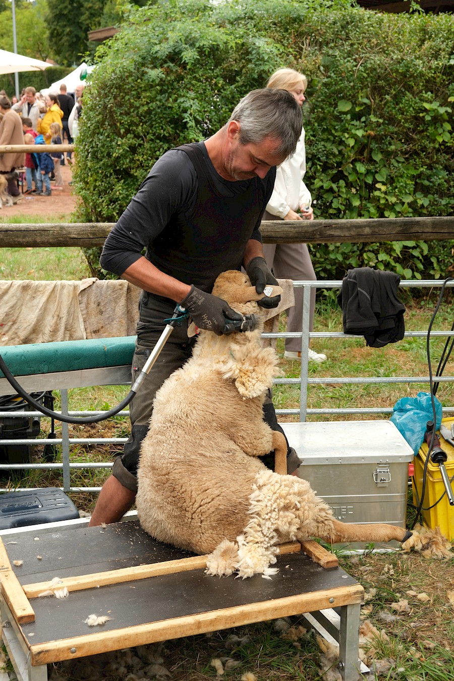 31. Odenwälder Schäfertag im Gersprenztal ein voller Erfolg